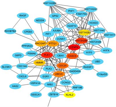 Integrating lncRNAs and mRNAs Expression Profiles in Penicillin-Induced Persistent Chlamydial Infection in HeLa Cells